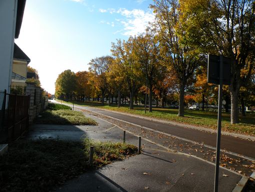 Matin d'automne